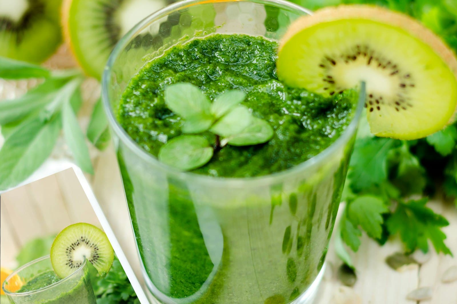 Detox & Fasting Retreat